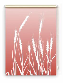 Rollo cereal 24 - pfeffer , Rollo, Motivrollo, Rollo mit Druck, Fotorollo, bedrucktes Rollo, Fensterrollo,verdunkelndes Rollo, Sonnenschutz Rollo